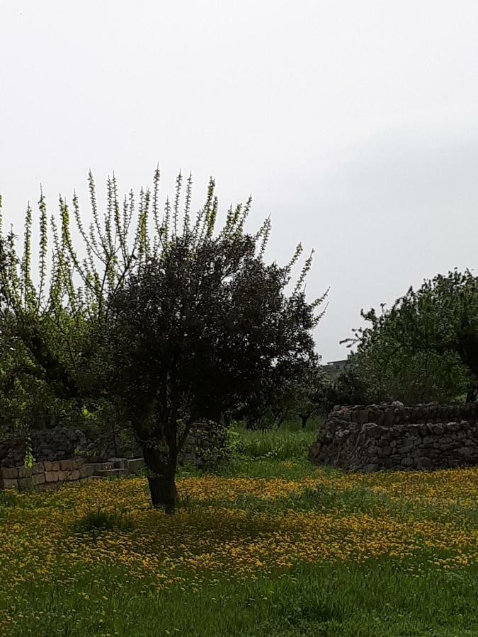 Masseria Cassiere Mottola Exteriör bild